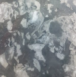 champlain fleurie gris calcaire